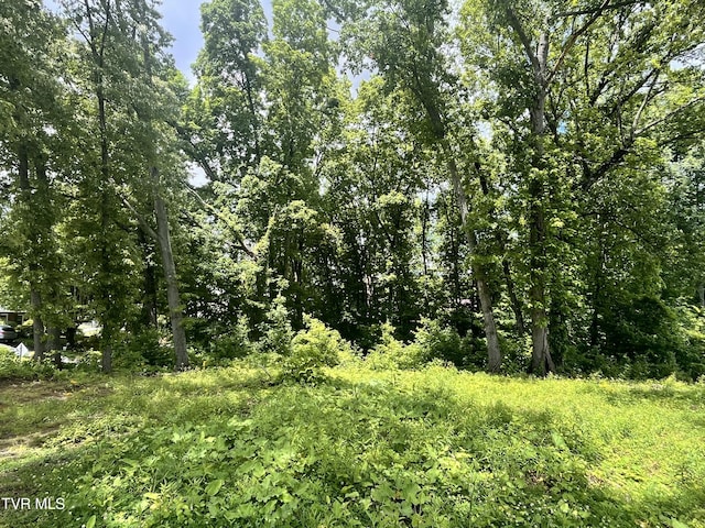 TBD Northwood Ave, Johnson City, TN 37615