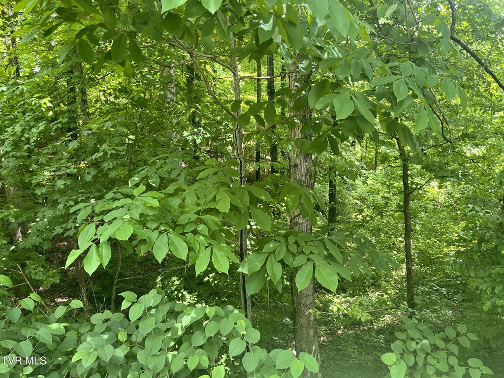 TBD Northwood Ave, Johnson City, TN 37615