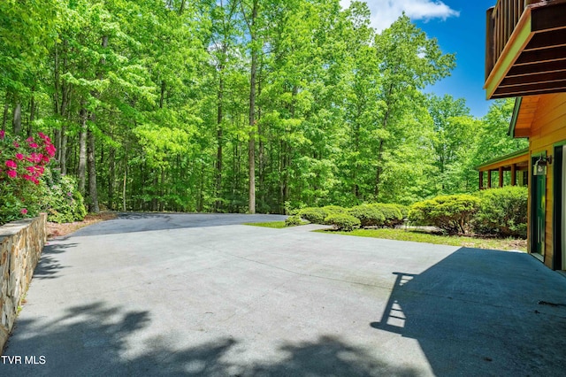 203 Bear Ridge Dr, Butler, TN 37640 - view of patio / terrace with a view of trees