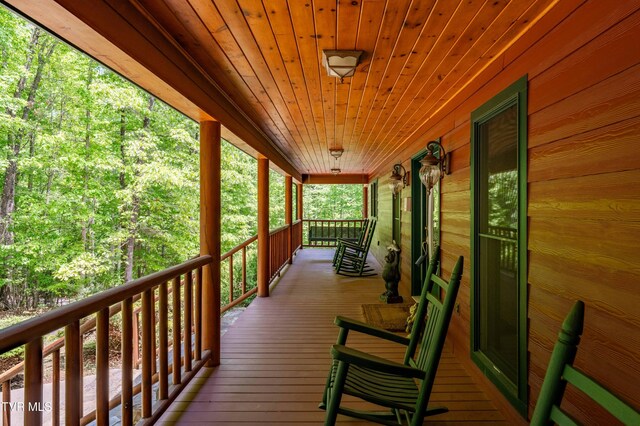 203 Bear Ridge Dr, Butler, TN 37640 - view of porch