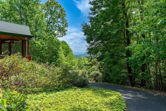 203 Bear Ridge Dr, Butler, TN 37640 - view of yard featuring a view of trees