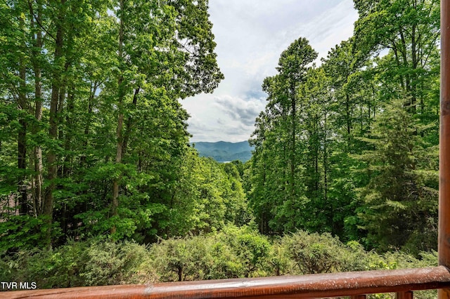 203 Bear Ridge Dr, Butler, TN 37640 - view of mountain backdrop featuring a forest