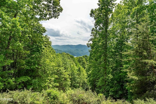 203 Bear Ridge Dr, Butler, TN 37640 - view of mountain background with a forest