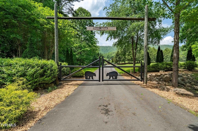 203 Bear Ridge Dr, Butler, TN 37640 - view of gate