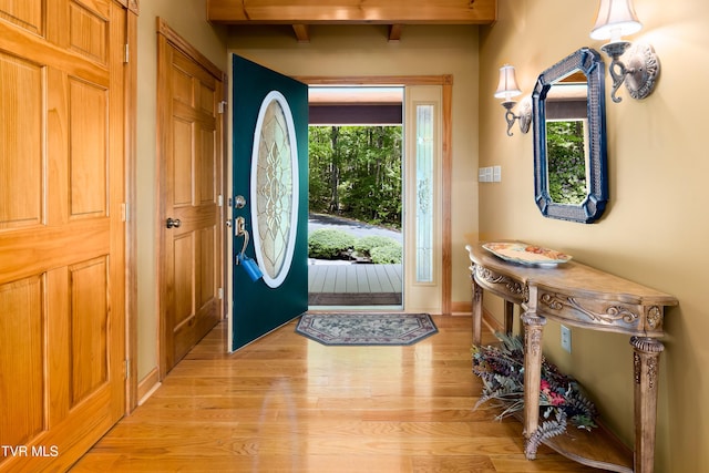 203 Bear Ridge Dr, Butler, TN 37640 - entryway with light wood-style floors