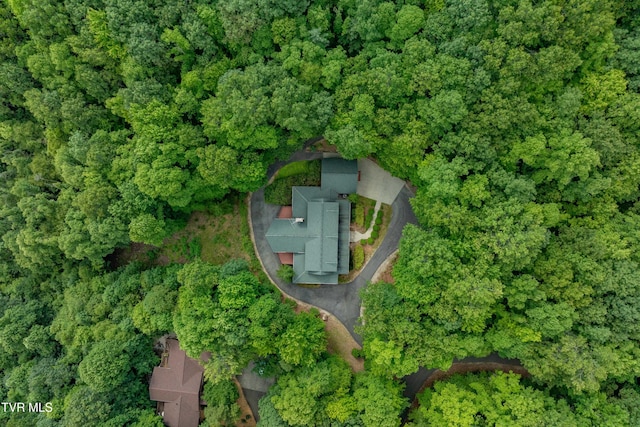 203 Bear Ridge Dr, Butler, TN 37640 - aerial overview of property's location