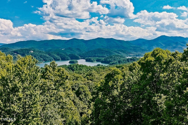 203 Bear Ridge Dr, Butler, TN 37640 - view of mountain background featuring a nearby body of water and a forest