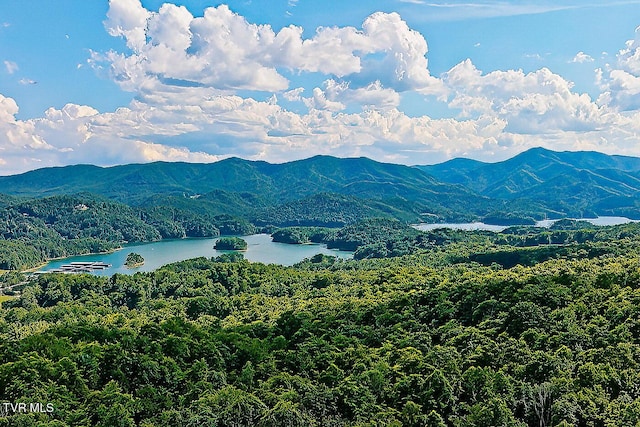203 Bear Ridge Dr, Butler, TN 37640 - view of mountain background with a large body of water and a heavily wooded area