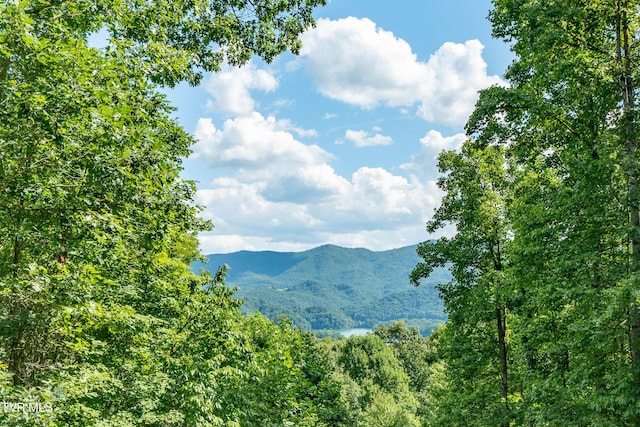 203 Bear Ridge Dr, Butler, TN 37640 - mountain view featuring a forest