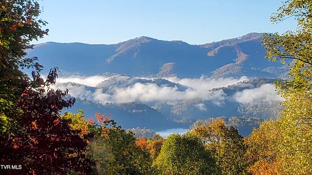 203 Bear Ridge Dr, Butler, TN 37640 - view of mountain background