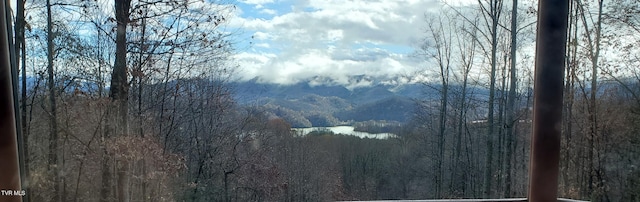 203 Bear Ridge Dr, Butler, TN 37640 - view of mountain background featuring a heavily wooded area