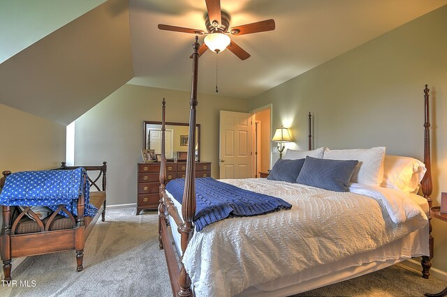 307 Hunters Crossing Ln, Kingsport, TN 37664 - photo 72