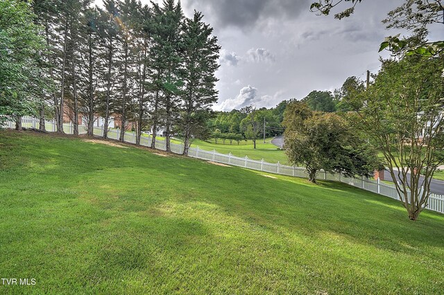 307 Hunters Crossing Ln, Kingsport, TN 37664 - photo 92