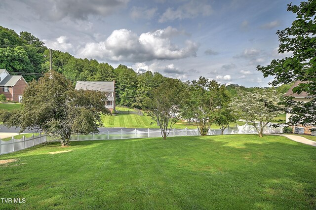 307 Hunters Crossing Ln, Kingsport, TN 37664 - photo 98