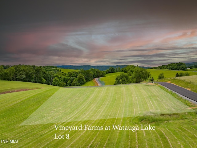 LOT8 Dry Hill Rd, Butler, TN 37640 - photo 1