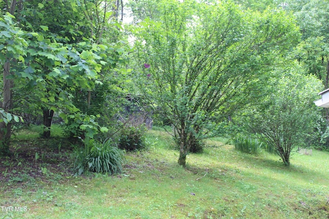 2967 Left Poor Valley Rd, Pennington Gap, VA 24277 - view of undeveloped land