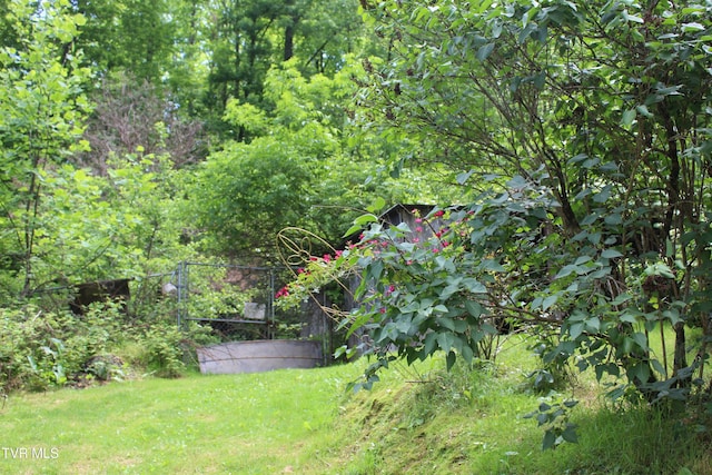 2967 Left Poor Valley Rd, Pennington Gap, VA 24277 - view of yard