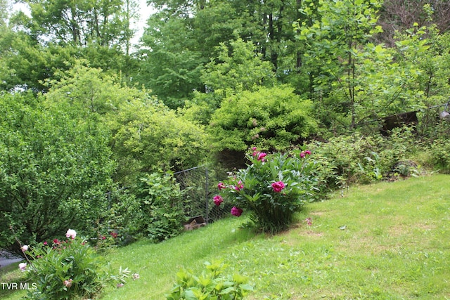 2967 Left Poor Valley Rd, Pennington Gap, VA 24277 - view of yard