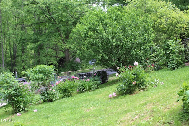 2967 Left Poor Valley Rd, Pennington Gap, VA 24277 - view of grassy yard