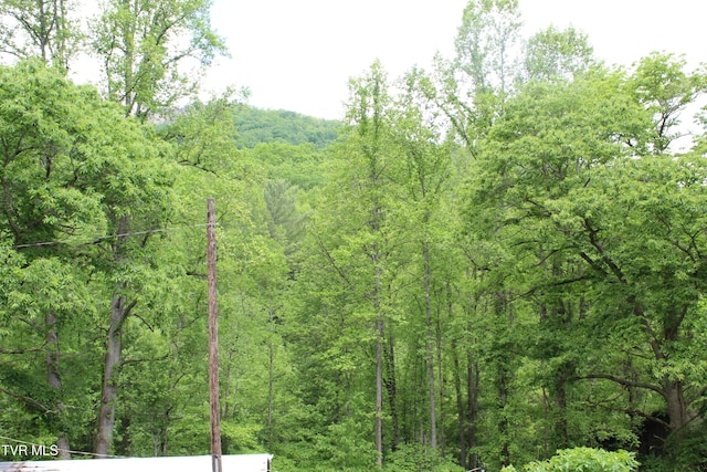 2967 Left Poor Valley Rd, Pennington Gap, VA 24277 - view of tree filled area