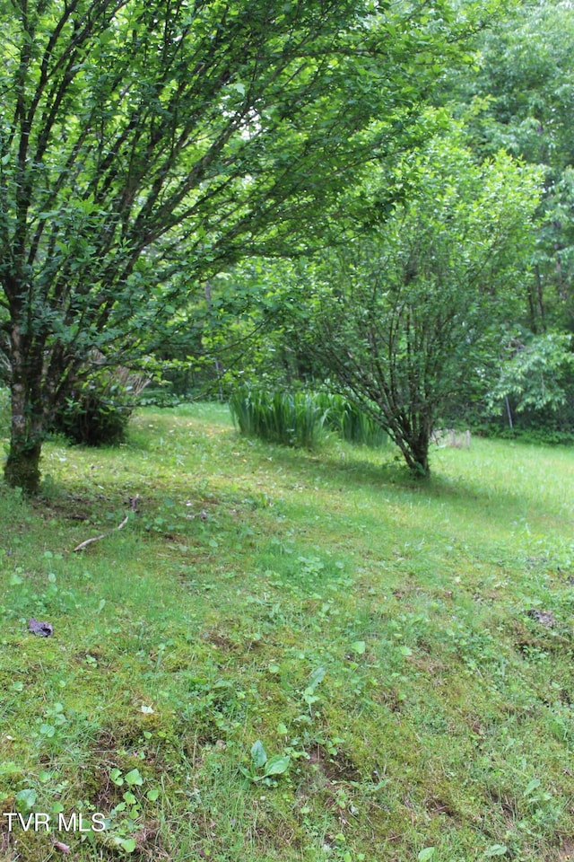 2967 Left Poor Valley Rd, Pennington Gap, VA 24277 - view of yard