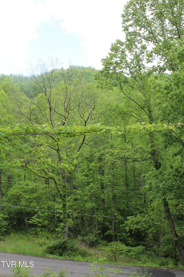 2967 Left Poor Valley Rd, Pennington Gap, VA 24277 - view of woods