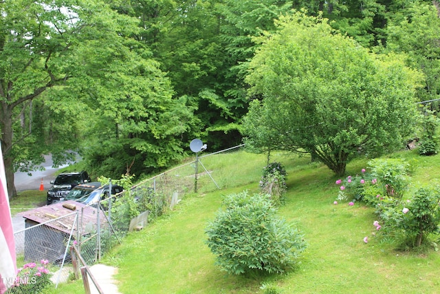 2967 Left Poor Valley Rd, Pennington Gap, VA 24277 - view of yard featuring a garden