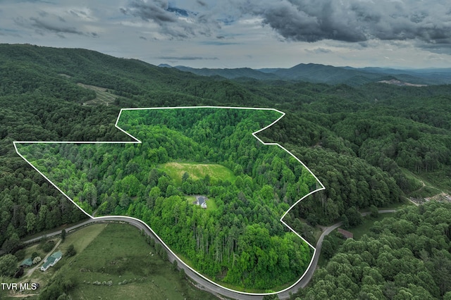 1546 Stage Rd, Mountain City, TN 37683 - photo 4