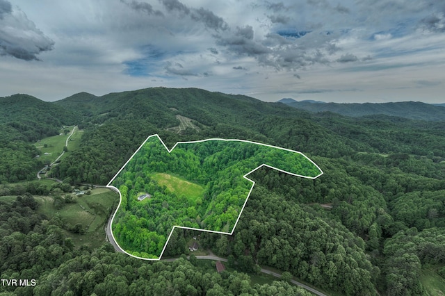 1546 Stage Rd, Mountain City, TN 37683 - photo 35