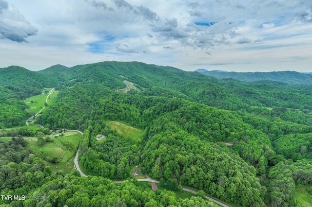 1546 Stage Rd, Mountain City, TN 37683 - photo 36