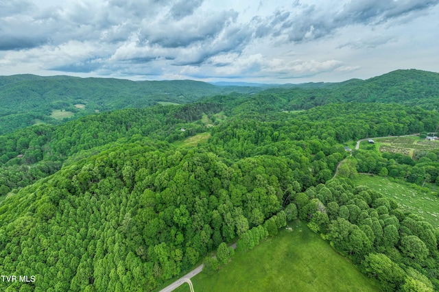 1546 Stage Rd, Mountain City, TN 37683 - photo 39