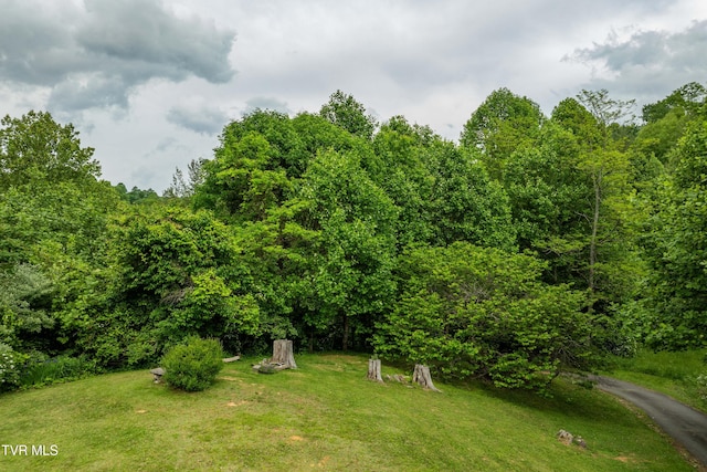 1546 Stage Rd, Mountain City, TN 37683 - photo 42