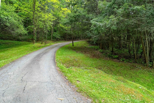 1546 Stage Rd, Mountain City, TN 37683 - photo 46