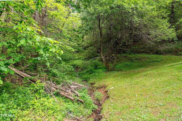 1546 Stage Rd, Mountain City, TN 37683 - photo 47