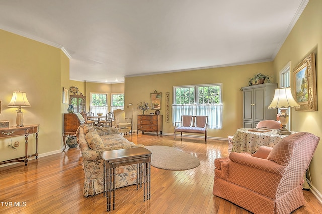 4619 Merrywood Ave, Kingsport, TN 37664 - living room featuring ornamental molding, plenty of natural light, and light wood-style flooring