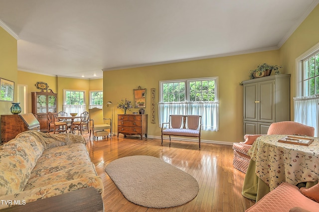 4619 Merrywood Ave, Kingsport, TN 37664 - living area featuring crown molding, light wood-style floors, and recessed lighting