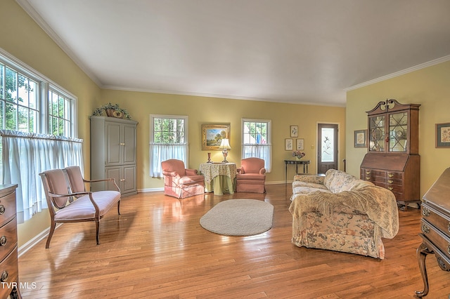 4619 Merrywood Ave, Kingsport, TN 37664 - living room featuring ornamental molding and light wood-style flooring