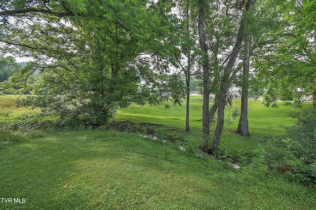 4619 Merrywood Ave, Kingsport, TN 37664 - view of green lawn