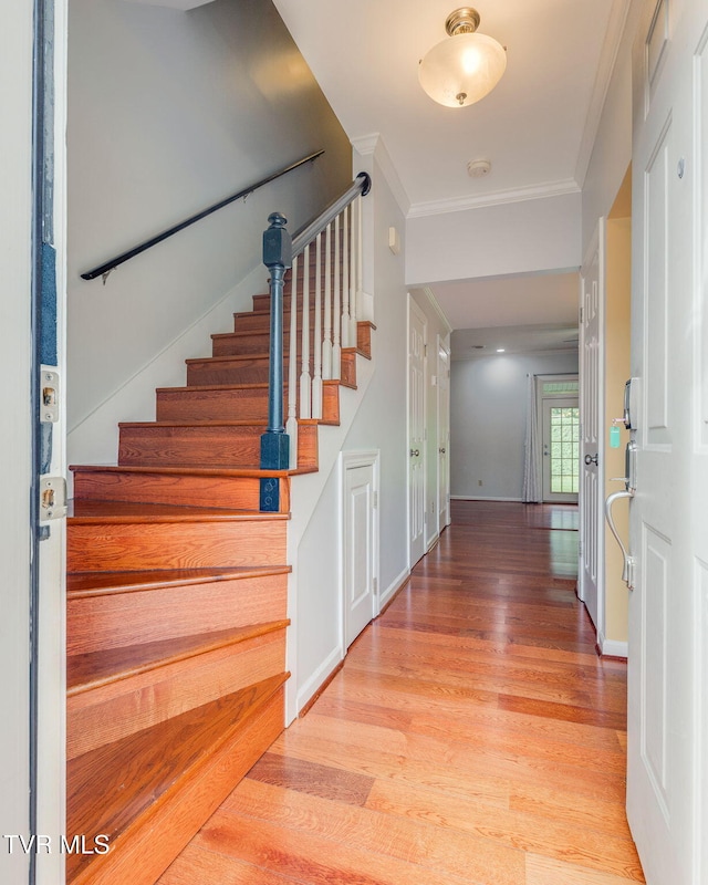 1101 E 8th Ave Unit 5, Johnson City, TN 37601 - stairway with wood finished floors, ornamental molding, and baseboards