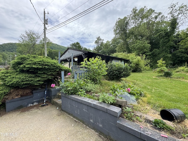 142 Sheryl Turner Rd, Big Stone Gap, VA 24219 - view of green lawn