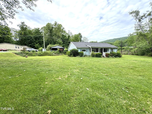 142 Sheryl Turner Rd, Big Stone Gap, VA 24219 - view of grassy yard
