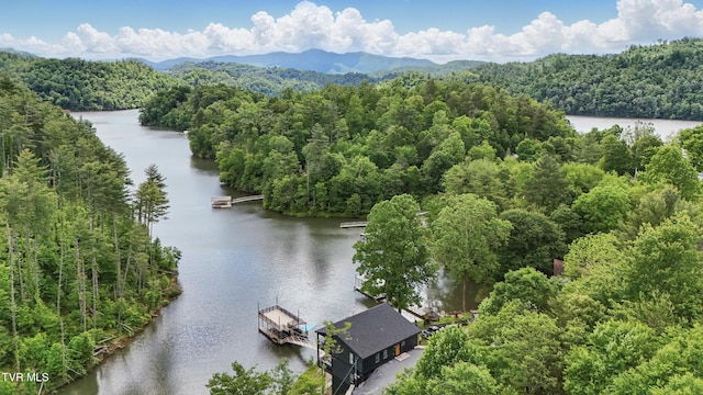 273 Campbell Rd, Butler, TN 37640 - bird's eye view of a heavily wooded area and a nearby body of water