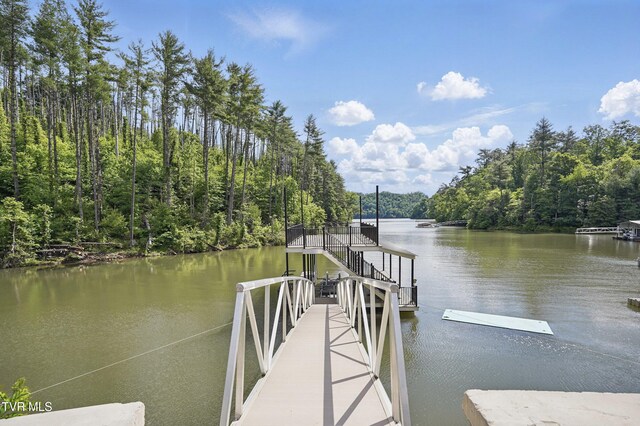 273 Campbell Rd, Butler, TN 37640 - dock with a water view and a forest view