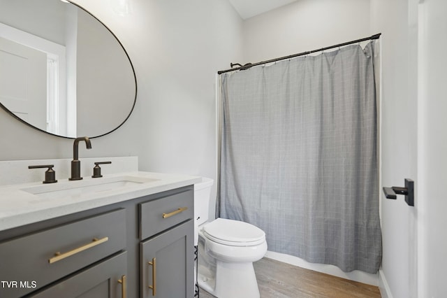 273 Campbell Rd, Butler, TN 37640 - full bathroom with vanity, wood finished floors, toilet, and a shower with curtain