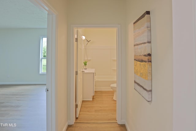 329 Clinch St, Kingsport, TN 37660 - corridor with light wood-type flooring and baseboards