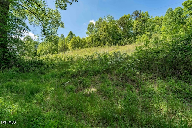 TBD Fishers Creek Rd, Rogersville, TN 37857