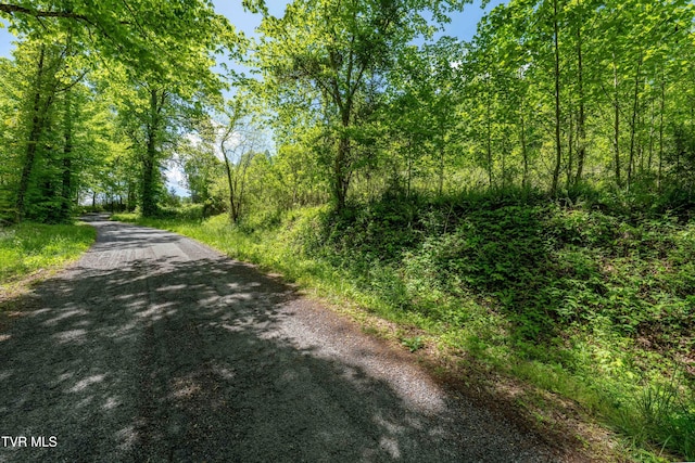 TBD Fishers Creek Rd, Rogersville, TN 37857