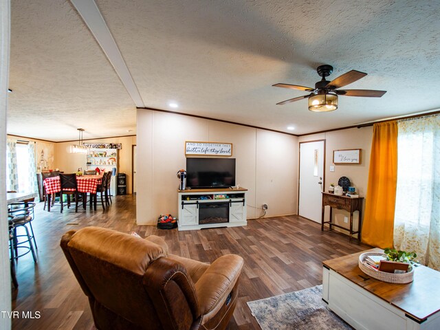 1029 Red Bud Ln, Rogersville, TN 37857 - living area featuring a textured ceiling, a ceiling fan, wood finished floors, healthy amount of natural light, and ornamental molding