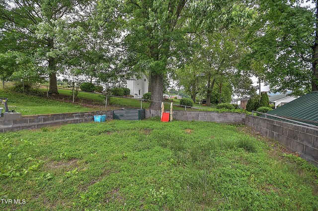 316 W Jackson St, Gate City, VA 24251 - photo 62