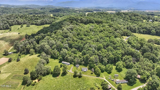438 Horace Dillow Rd, Limestone, TN 37681 - drone / aerial view of a forest